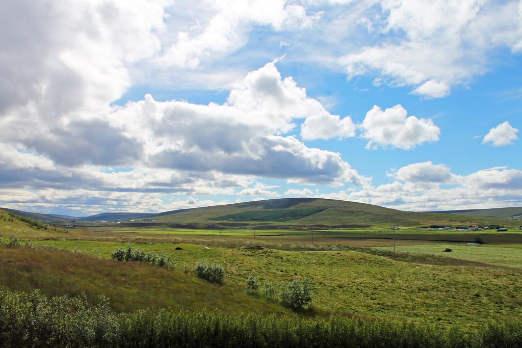 Öndólfsstaðir Farm B&B Laugar  Exterior foto