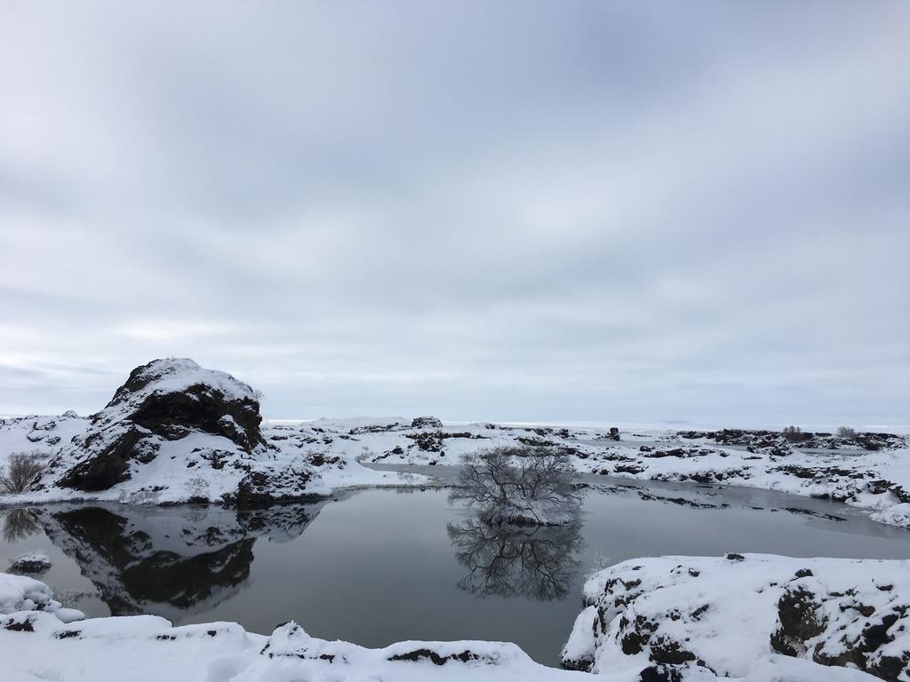 Öndólfsstaðir Farm B&B Laugar  Exterior foto