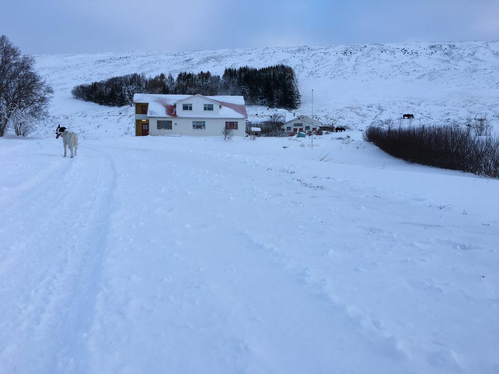Öndólfsstaðir Farm B&B Laugar  Exterior foto