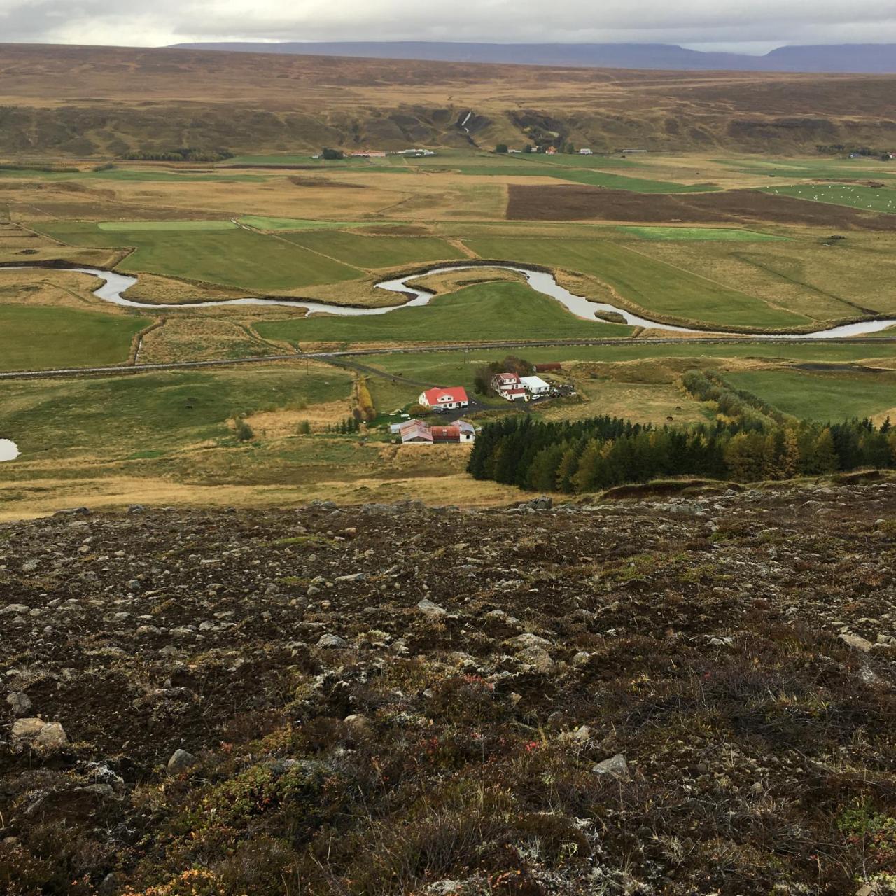 Öndólfsstaðir Farm B&B Laugar  Exterior foto