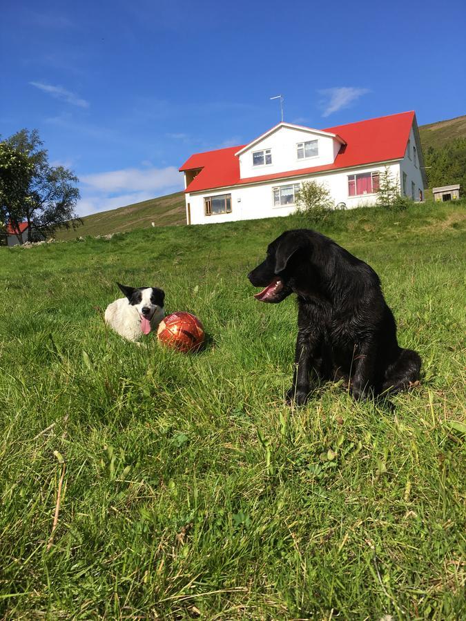 Öndólfsstaðir Farm B&B Laugar  Exterior foto